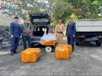 Ra quân ngăn chặn thực phẩm “bẩn” xâm nhập thị trường Quảng Ninh dịp cuối năm