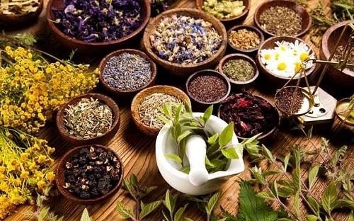 Sàng lọc dược liệu bản địa để tìm ra những loài cây có tiềm năng điều trị bệnh đái tháo đường type 2 - Cổng thông tin điện tử Cục Thông tin, Thống kê