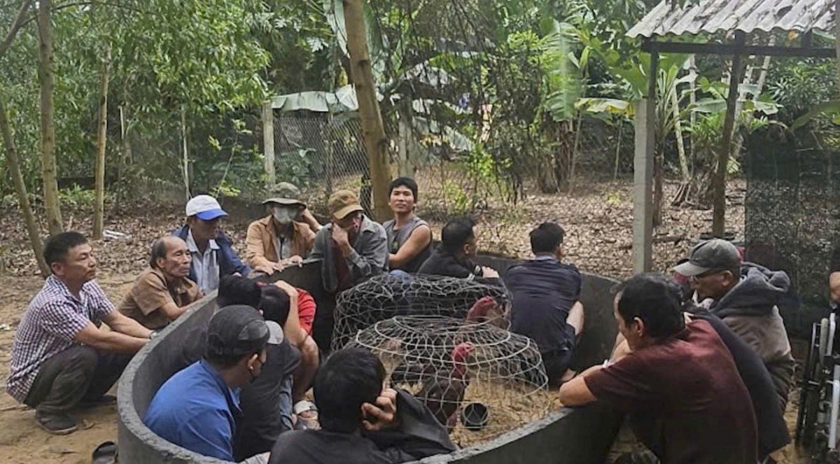 Các đối tượng tụ tập tại khu vực rừng keo để tổ chức đá gà ăn tiền, bị lực lượng chức năng phát hiện và triệt xóa.