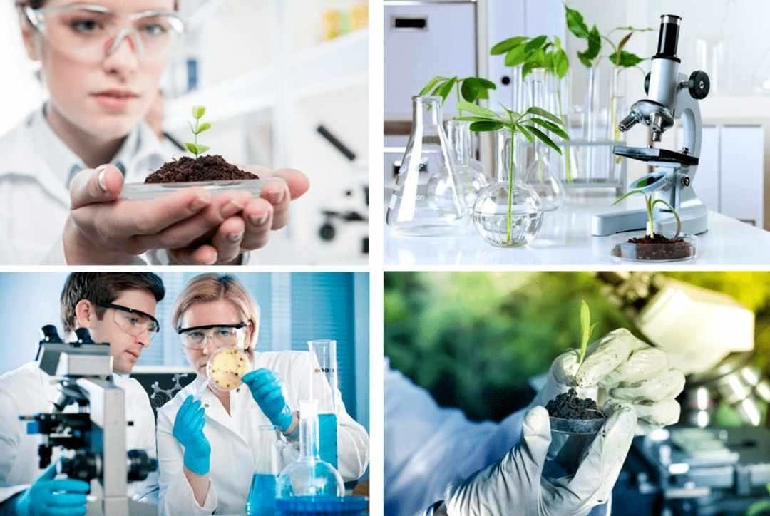 Nâng cao hiệu lực thực thi pháp luật về bảo vệ môi trường