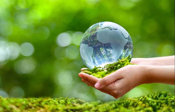 Nâng cao hiệu lực thực thi pháp luật về bảo vệ môi trường