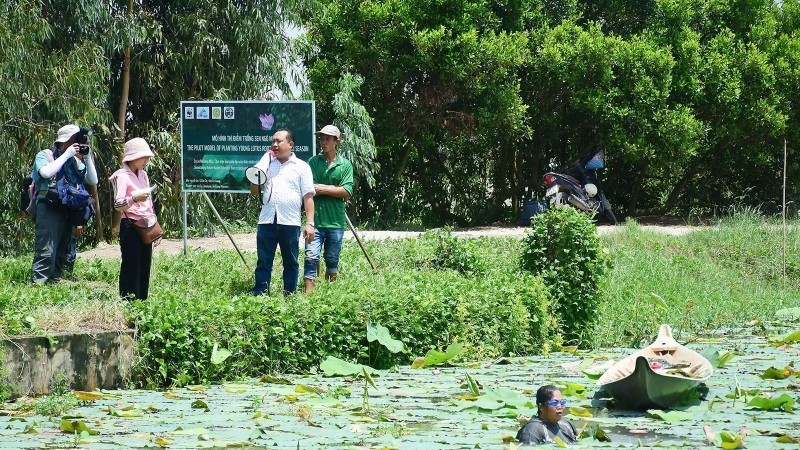 An Giang ứng dụng công nghệ, chuyển sản xuất nông nghiệp xanh