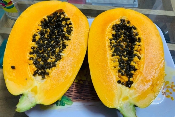 Sự thật về công dụng của hạt đu đủ khiến nhiều người kinh ngạc