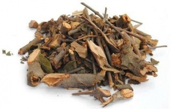 Xử lý dược liệu Tang ký sinh vi phạm chất lượng