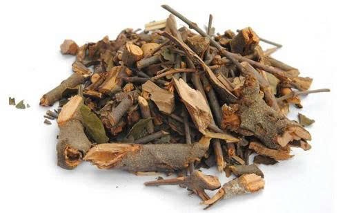 Xử lý dược liệu Tang ký sinh vi phạm chất lượng