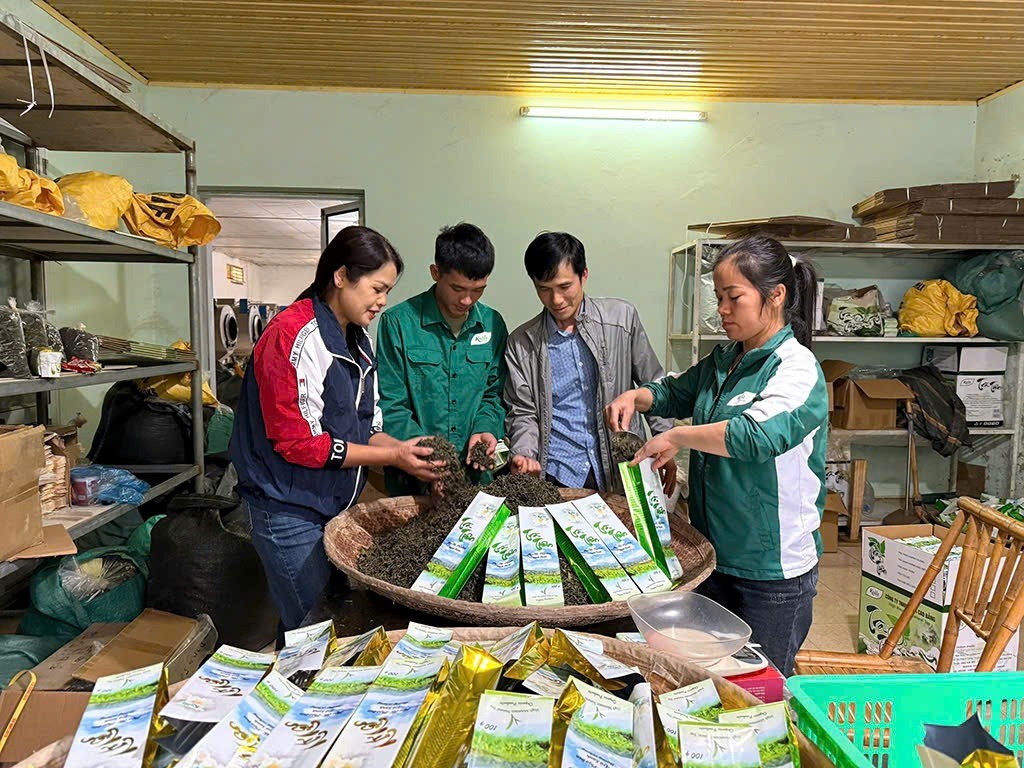 To&agrave;n tỉnh c&oacute; tr&ecirc;n 2.330 ha v&ugrave;ng nguy&ecirc;n liệu hữu cơ - B&aacute;o Cao Bằng điện tử