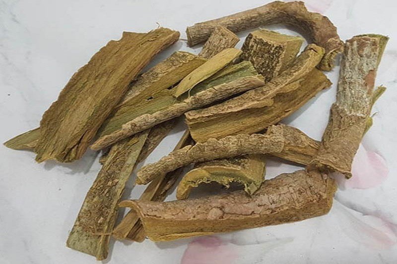 Cây núc nác không chỉ là dược liệu mà còn là thực phẩm quý