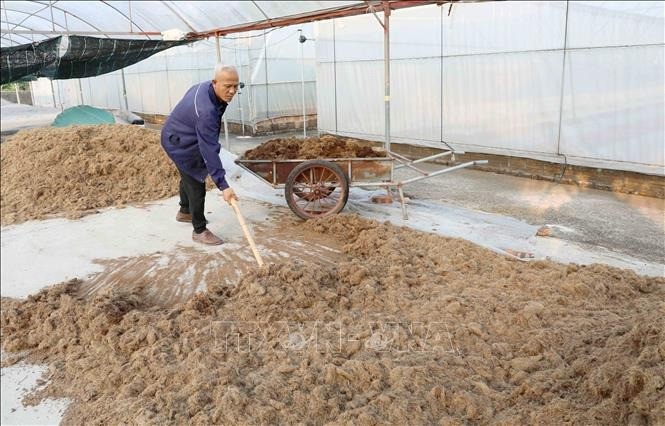 Vượt qua thất bại, trở thành mô hình nông nghiệp kiểu mẫu