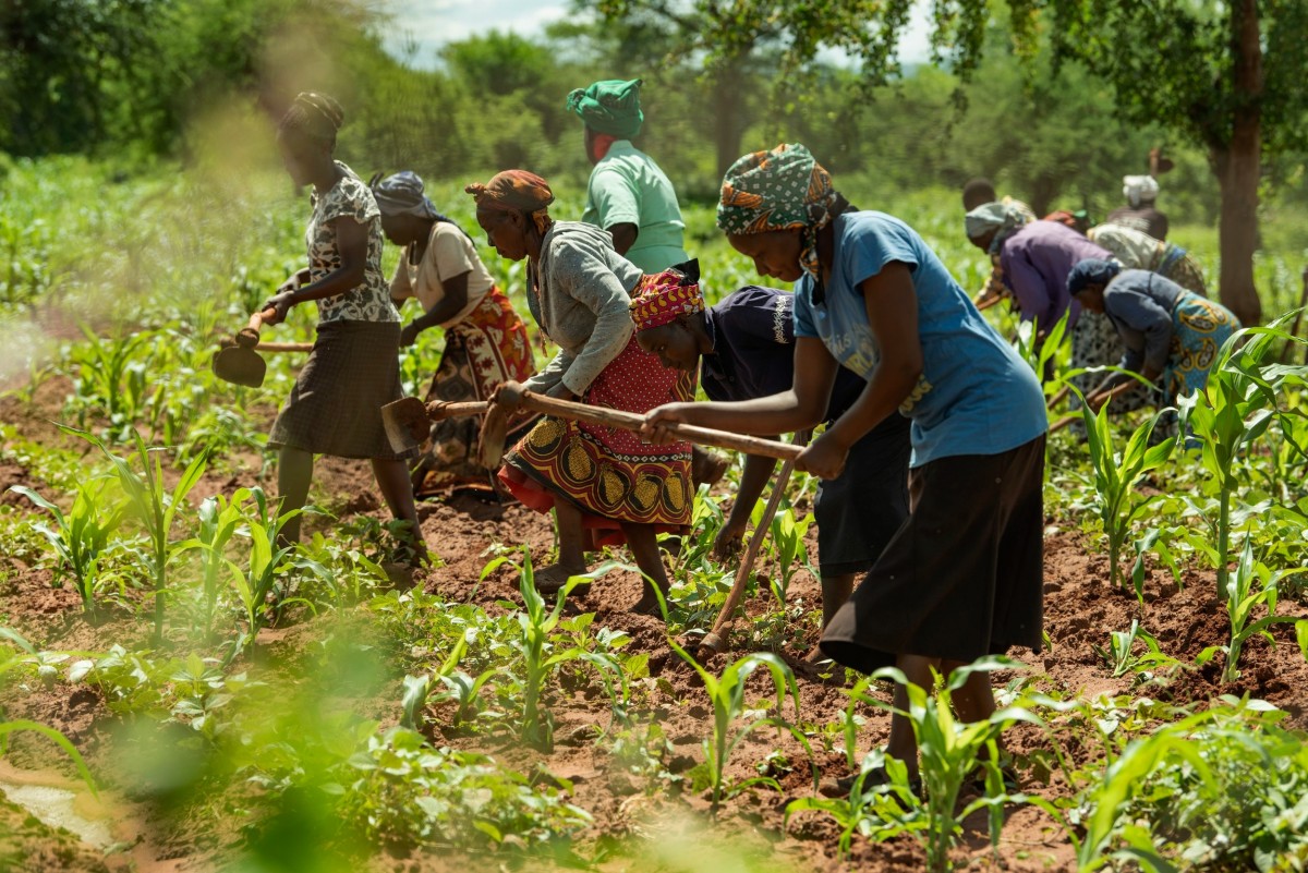 Năng lượng tái tạo: Chìa khóa chuyển đổi hệ thống lương thực bền vững