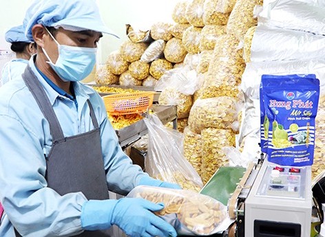 Hỗ trợ vốn cho hợp tác xã, tổ hợp tác – Đòn bẩy phát triển nông nghiệp hữu cơ bền vững