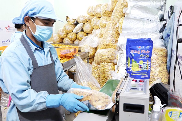 Hỗ trợ vốn cho hợp tác xã, tổ hợp tác – Đòn bẩy phát triển nông nghiệp hữu cơ bền vững