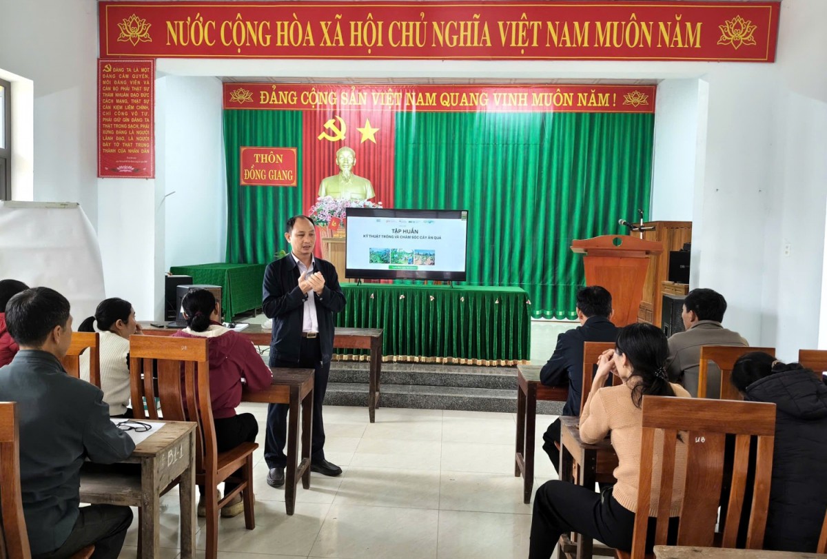 Quảng Trị: Tập huấn “Kỹ thuật trồng và chăm sóc cây ăn quả” thích ứng với biến đổi khí hậu