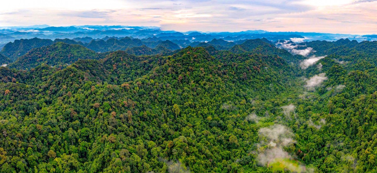 Định hình tương lai đa dạng sinh học - Bài 3: “Giải bài toán” bảo tồn động vật hoang dã tại Việt Nam?