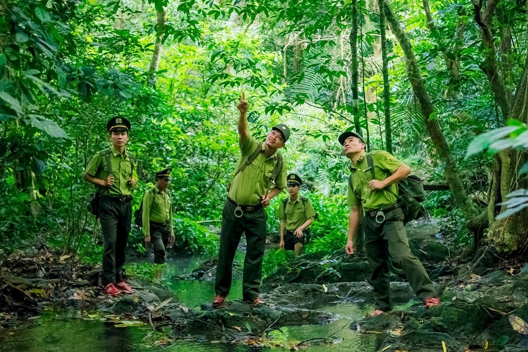 Định hình tương lai đa dạng sinh học - Bài 3: “Giải bài toán” bảo tồn động vật hoang dã tại Việt Nam?