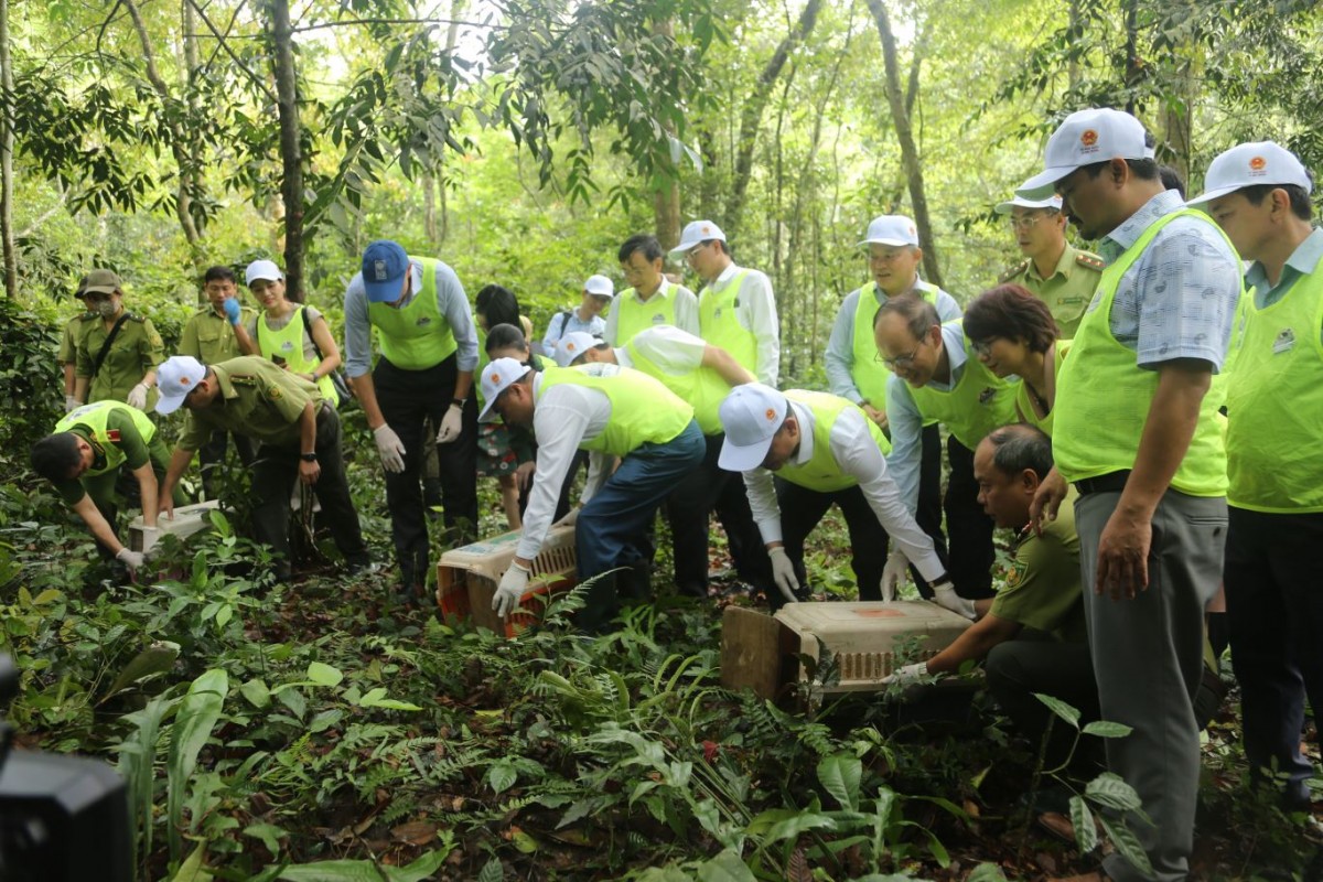 Định hình tương lai đa dạng sinh học - Bài 3: “Giải bài toán” bảo tồn động vật hoang dã tại Việt Nam?
