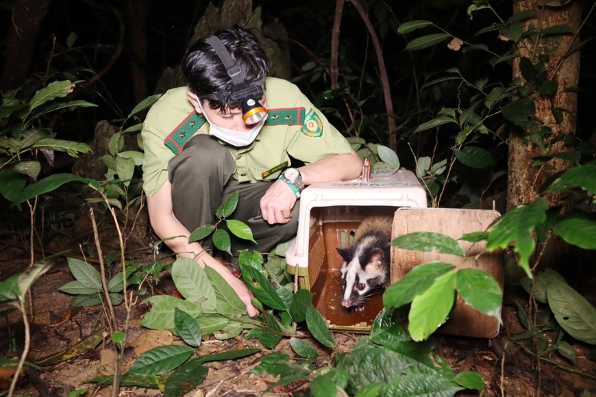 Định hình tương lai đa dạng sinh học - Bài 3: “Giải bài toán” bảo tồn động vật hoang dã tại Việt Nam?