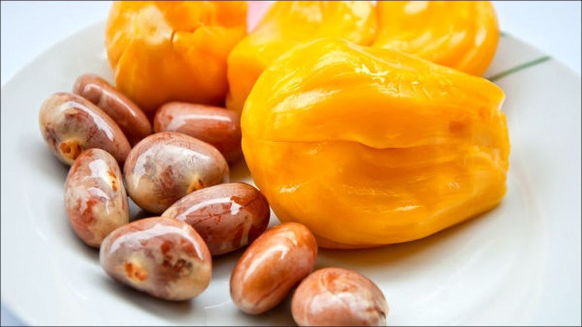 8 lợi ích khi ăn hạt mít - Báo VnExpress