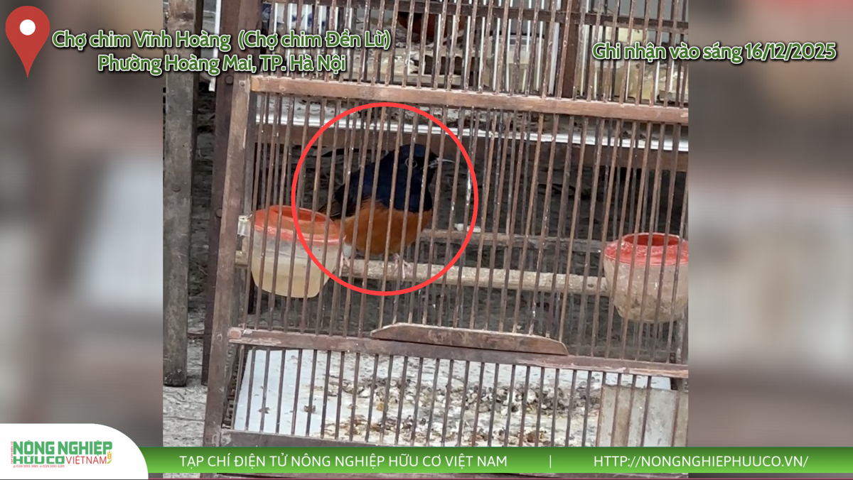 Định hình tương lai đa dạng sinh học - Bài 3: 