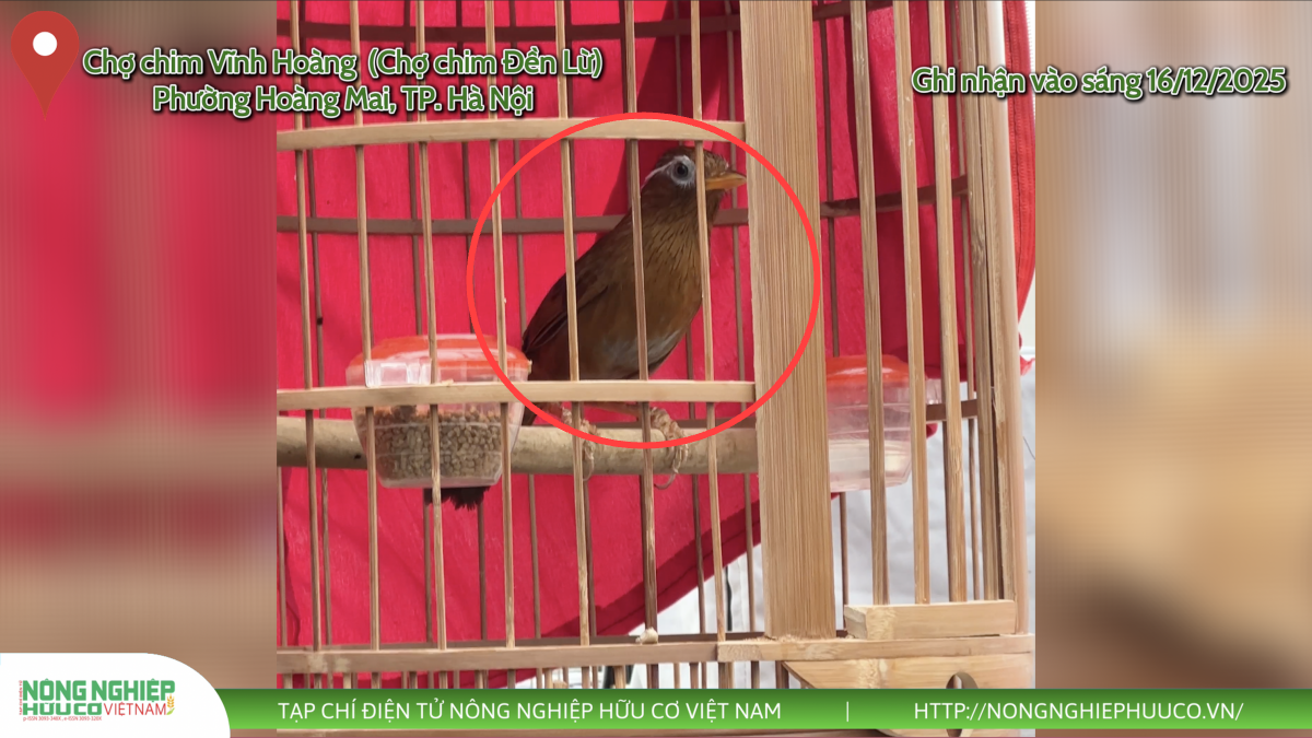 Định hình tương lai đa dạng sinh học - Bài 3: 