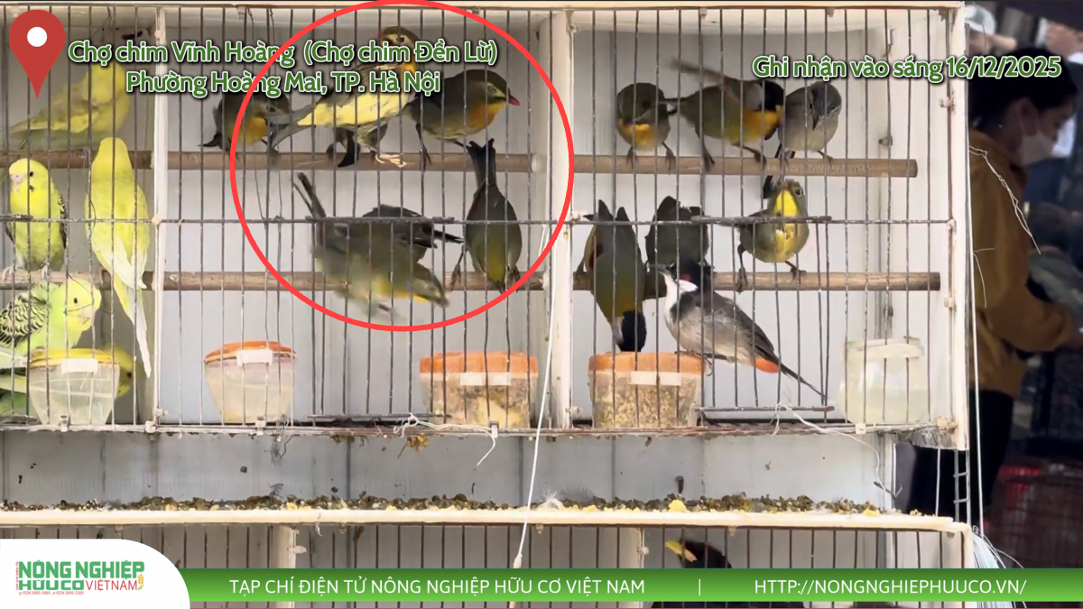 Định hình tương lai đa dạng sinh học - Bài 3: 