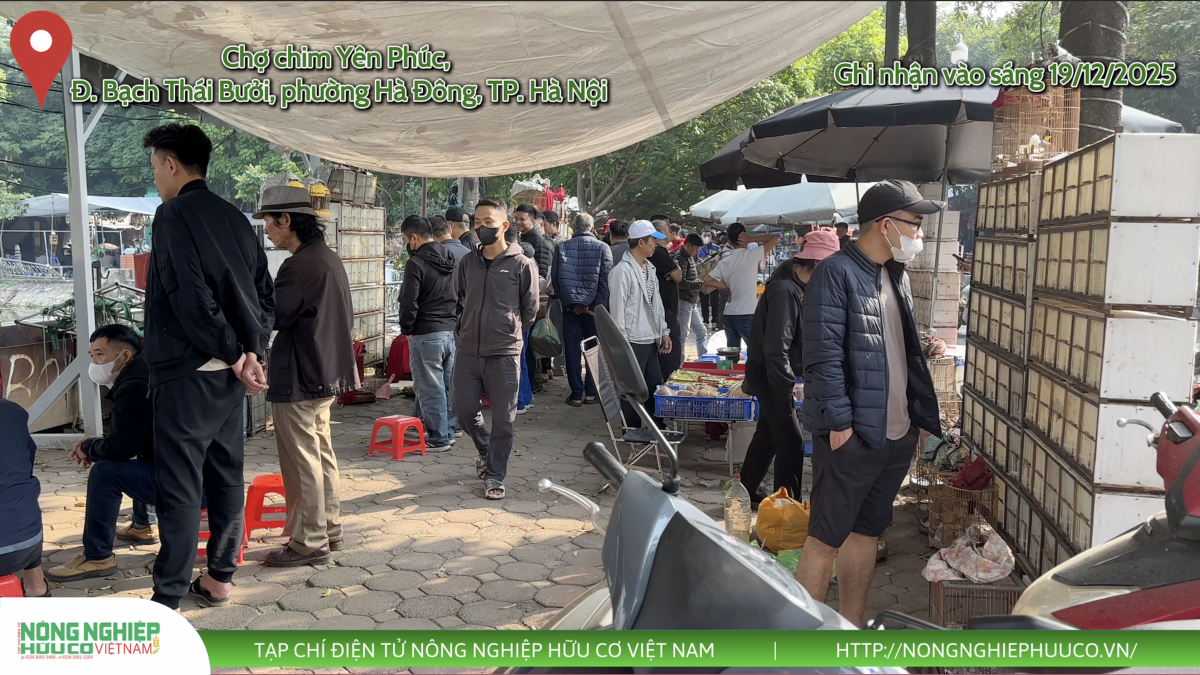 Định hình tương lai đa dạng sinh học - Bài 3: 