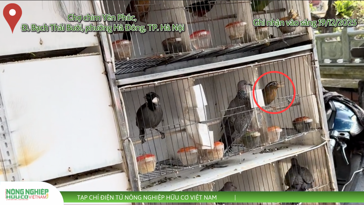 Định hình tương lai đa dạng sinh học - Bài 3: 