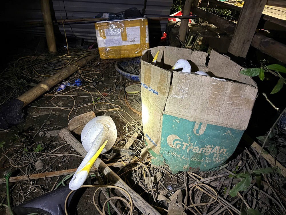 Định hình tương lai đa dạng sinh học - Bài 3: "Giải bài toán" bảo tồn động vật hoang dã tại Việt Nam?