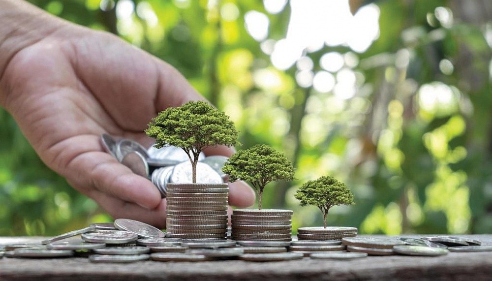 Những dấu ấn của Nông nghiệp hữu cơ Việt Nam năm 2025