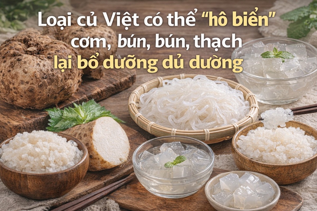 Củ nưa: Thực phẩm ít calo đang khiến người ăn kiêng săn lùng