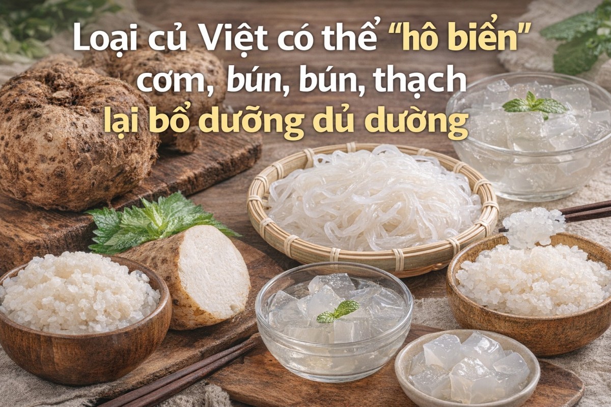 Củ nưa: Thực phẩm ít calo đang khiến người ăn kiêng săn lùng
