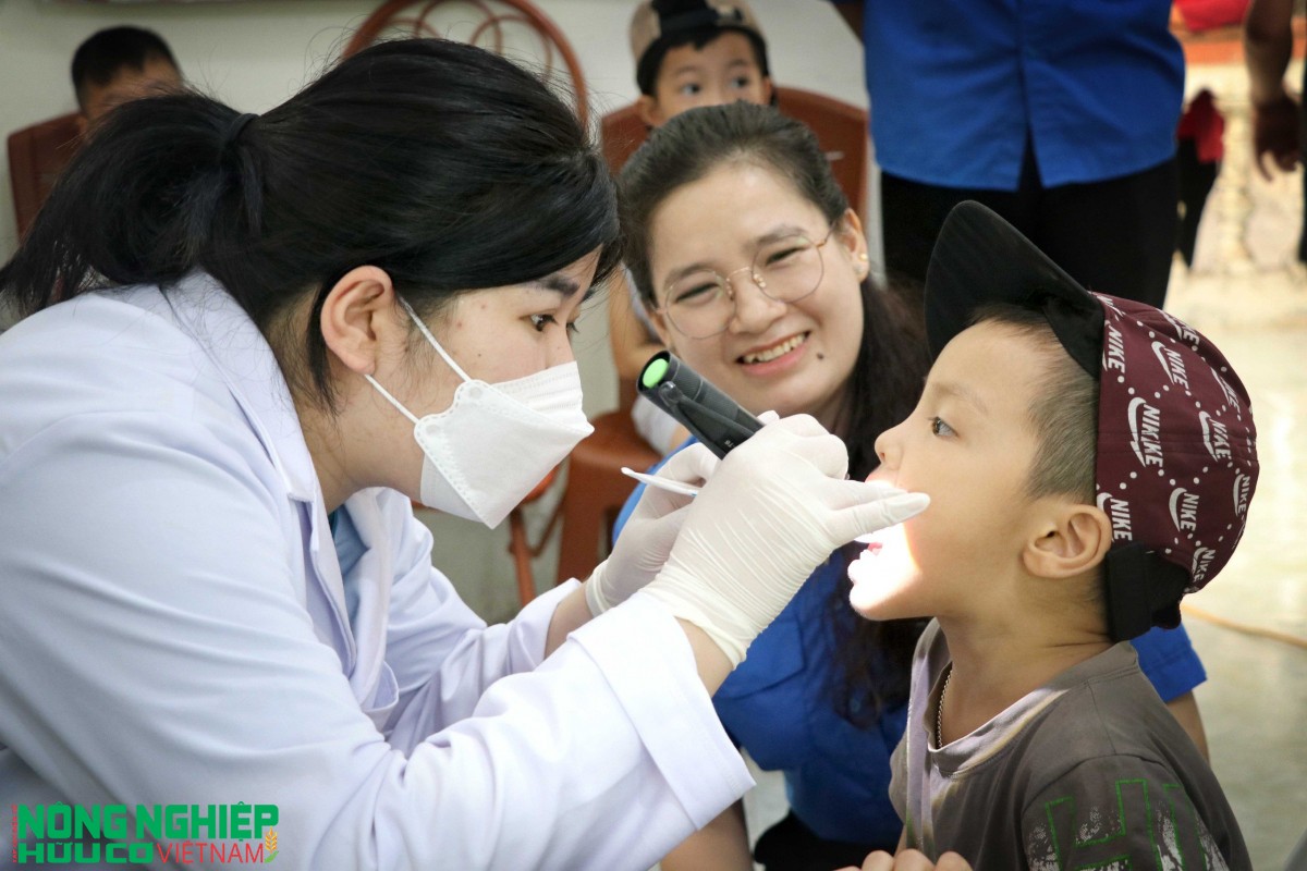 Hải Phòng chủ động phòng chống dịch bệnh truyền nhiễm trong mùa Đông – Xuân