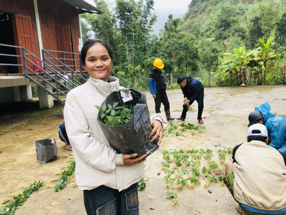 Người dân xã Nam Trà My (TP Đà Nẵng) phấn khởi nhận cây sâm Ngọc Linh giống trong chương trình hỗ trợ phát triển kinh tế vùng miền núi.