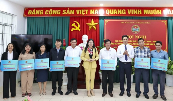 Khánh Hòa: Hỗ trợ 10 tấn lúa giống giúp nông dân vùng lũ sớm khôi phục sản xuất