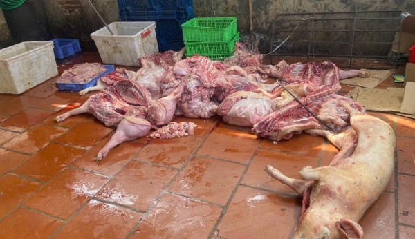 Hưng Yên tiến hành kiểm tra 02 cơ sở giết mổ có dấu hiệu vi phạm về an toàn thực phẩm