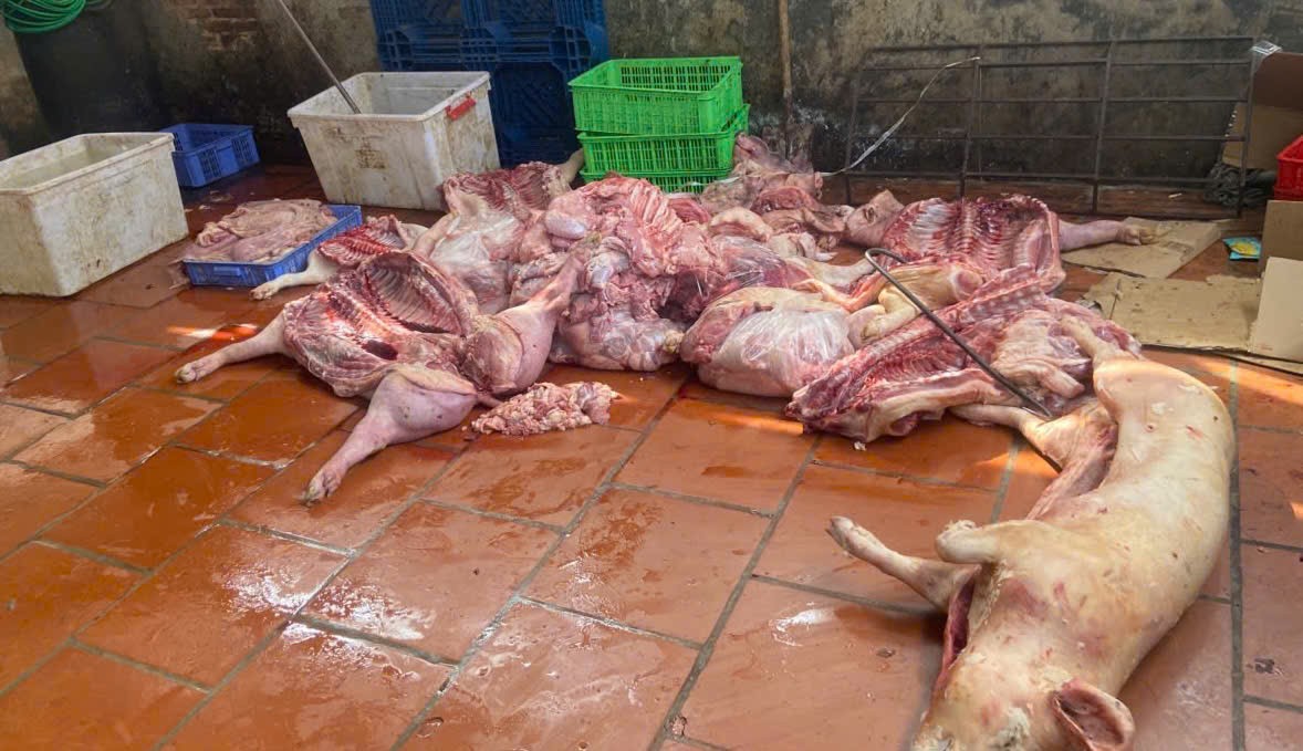 Hưng Yên tiến hành kiểm tra 02 cơ sở giết mổ có dấu hiệu vi phạm về an toàn thực phẩm