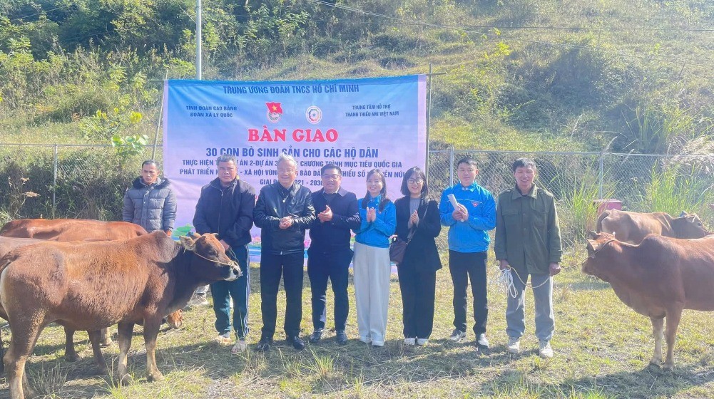 Trao bò sinh sản cho 30 hộ đồng bào dân tộc thiểu số xã Lý Quốc