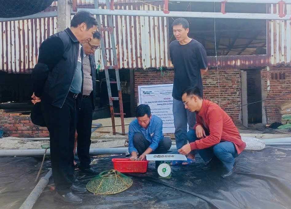 Quang cảnh buổi nghiệm thu. 