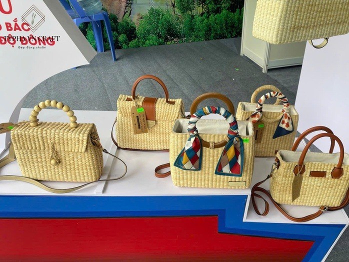 Loại cây vốn mọc hoang dại lại giúp nhiều người ở Cà Mau vươn lên làm giàu