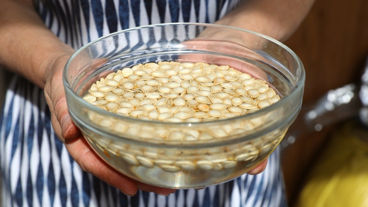 7 mẹo giúp hạt nảy mầm nhanh và đồng đều