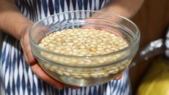 7 mẹo giúp hạt nảy mầm nhanh và đồng đều