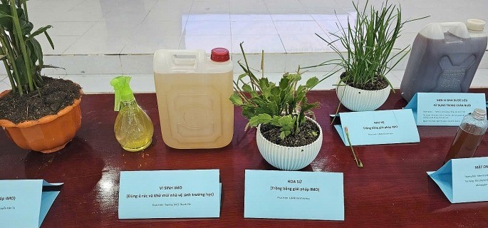 Men vi sinh bản địa – lời giải bền vững cho bài toán rác hữu cơ