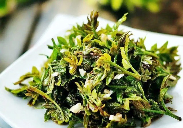 Cây xưa chỉ trồng lấy quả, nay ngắt lá non đem bán cũng ra tiền