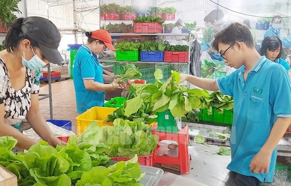 Duy trì cân đối sản xuất chế biến và tiêu thụ chính là xanh hóa nền kinh tế