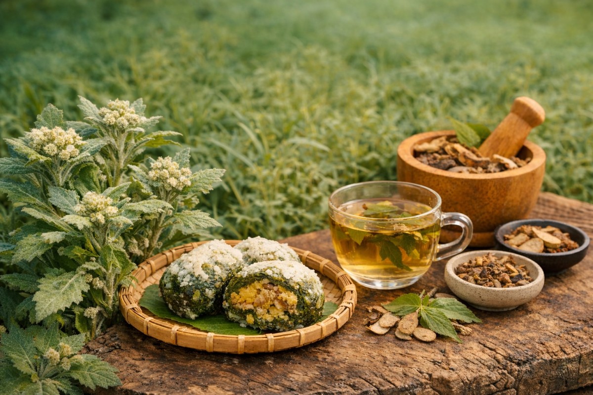 Rau khúc loại rau dại ven ruộng và những tác dụng sức khỏe ít ai biết