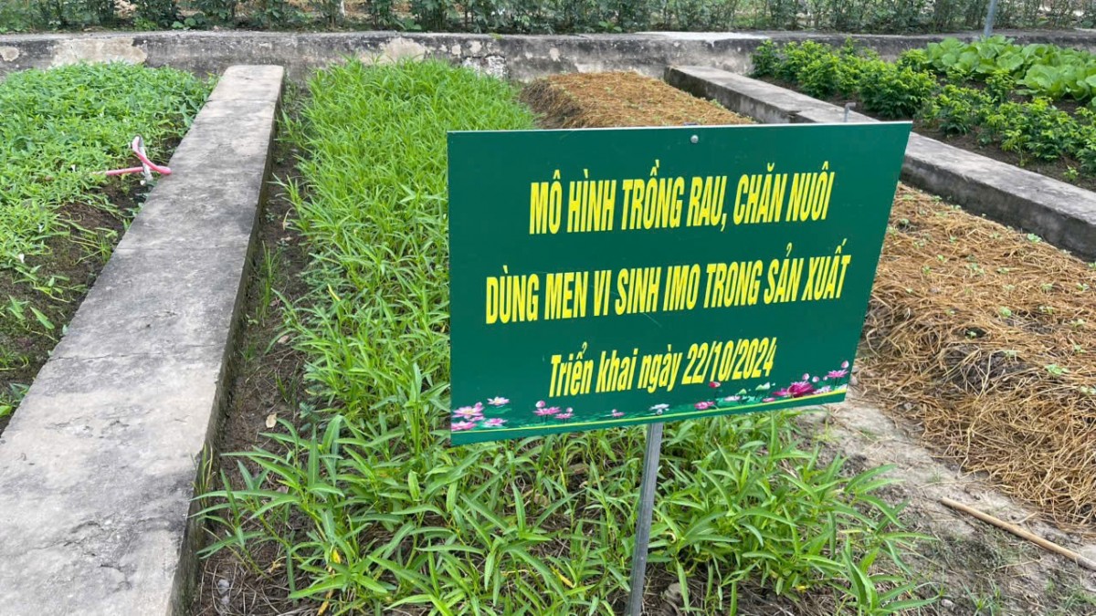 Tái chế phụ phẩm nông nghiệp, hướng đi mới cho khởi nghiệp xanh của thanh niên