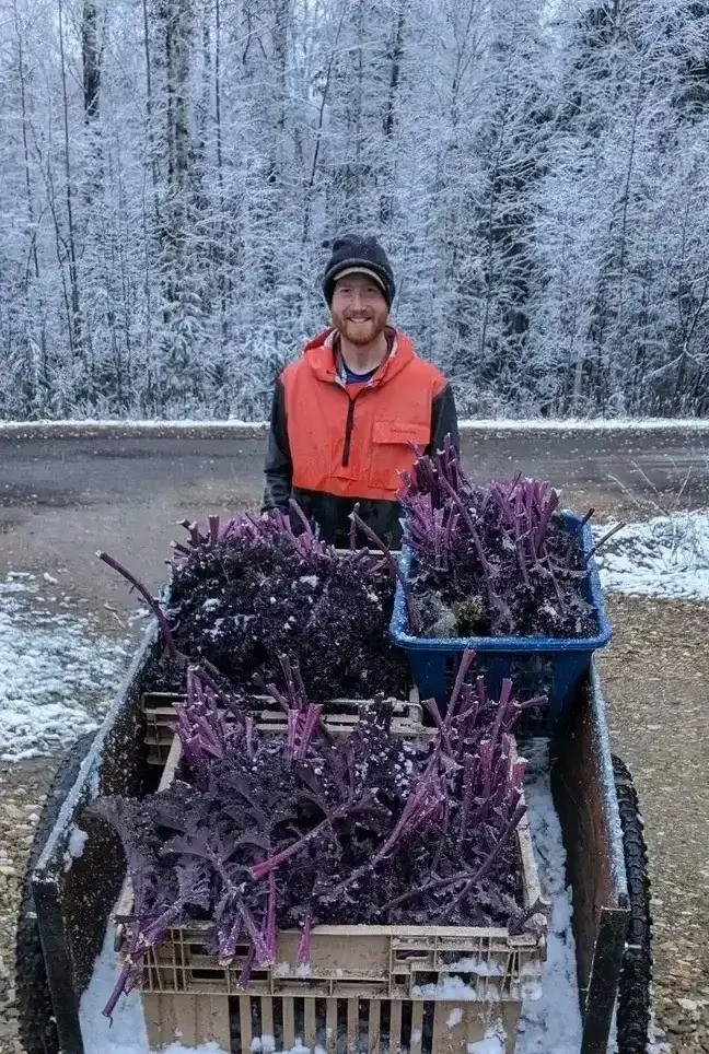 Giải pháp kho lạnh giữa -40°C: Bước ngoặt giúp nông dân Bắc Cực giữ nông sản quanh năm