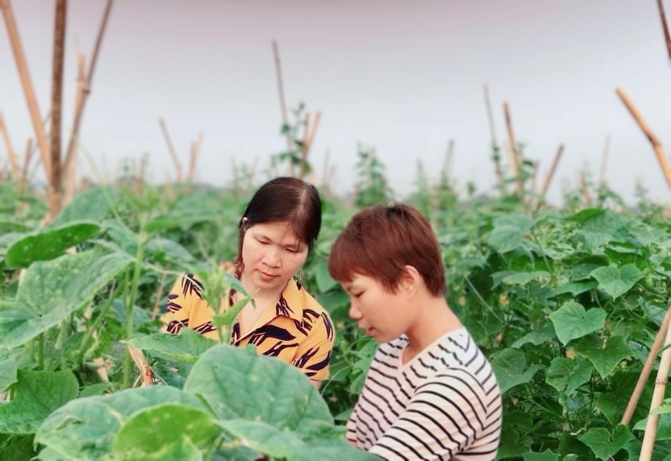 Ứng dụng công nghệ cao trong nông nghiệp - trụ cột cho tăng trưởng bền vững