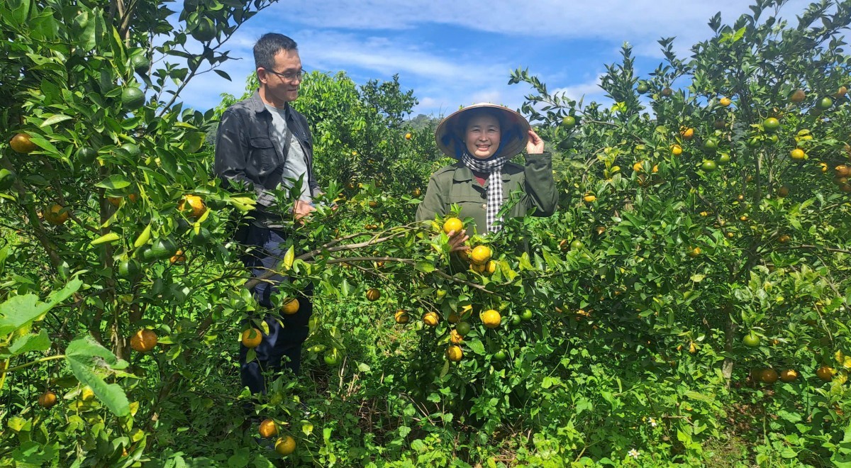 Đồng Nai phê duyệt Đề án phát triển vùng sản xuất nông nghiệp hàng hóa tập trung