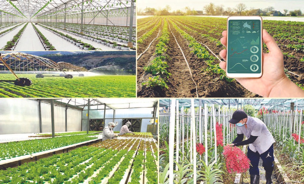 Ứng dụng công nghệ cao trong nông nghiệp - trụ cột cho tăng trưởng bền vững