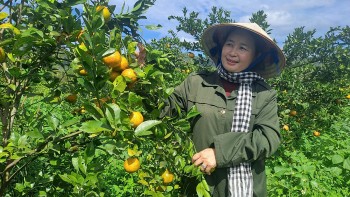 HTX Nông-Lâm nghiệp hữu cơ Quảng Phú: Hành trình hữu cơ trên vùng đá núi lửa